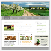 Acuity Infotech - Website Designing