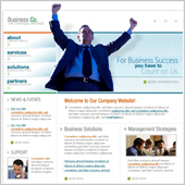 Acuity Infotech - Website Designing