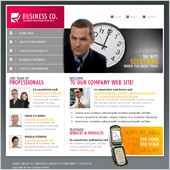 Acuity Infotech - Website Designing