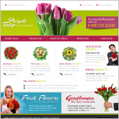 Acuity Infotech - Website Designing