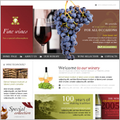 Acuity Infotech - Website Designing