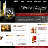 Acuity Infotech - Website Designing